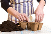 SET OF 10 SEED TARTING TRAYES 15,5X11,5X5 CM