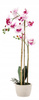 ARTIFICIAL ORCHID WHITE/PINK 70 CM