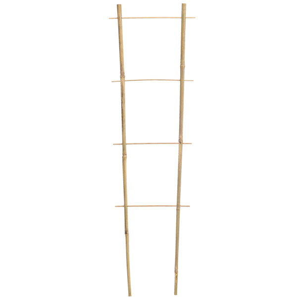 BAMBUSOVÉ SCHOLE 180 CM x 10/28 CM x 10/12 MM bal=25ks *1688