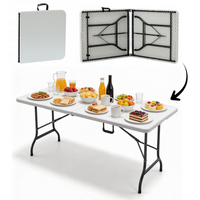 SKLÁDACÍ TURISTICKÝ/CATERINGOVÝ STŮL 180 x 75 x 72 cm *2521