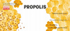 KPL. 100 ETICHETE PROPOLIS 116 x 50 MM *8337