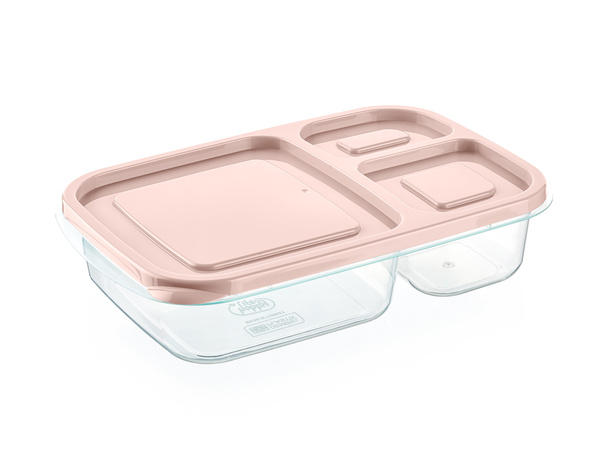 DIVIDED CONTAINER INTO 3 PARTS