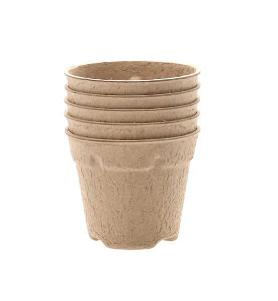 KPL 5 DONICZEK TORFOWYCH 10 x 10 CM