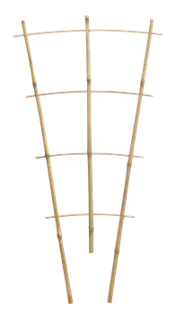 BAMBUSOVÁ ŽEBŘÍK TROJITÝ 60 CM balení=25ks *3113