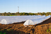 AGROWLÓKNY 1.6 x 5 M JARNÁ BIELA 17g *2067