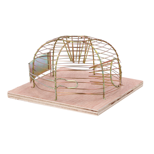 PUŁAPKA NA MYSZY– ŻYWOŁAPKA  14 x 14 x 5,5 CM opak=24szt *3606