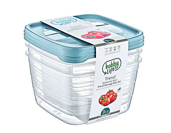 SET DE 3 RECIPIENTE RECTANGULARE PROFUNDE TREND BOX 4L *6057