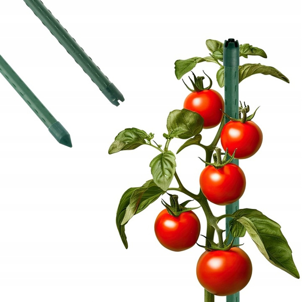 TUNEL FOLIOWY OGRODOWY 3 SEGMENTOWY ZIELONY 3 x 2 x 2 M