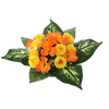 BUNCH CH-21 (WIDTH 40 CM, HEIGHT 30 CM) HIBISCUS MIX COLOR