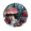 LID f 82 6Z MIX MUSHROOMS 091 pcs. 750