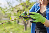 GARDEN PRUNING SHEARS 20 CM