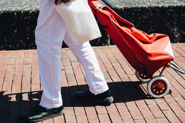 GEANTĂ PENTRU CUMPĂRĂTURI PE ROLIȚE 95 x 36 x 27 CM MIX DE CULORI *1098