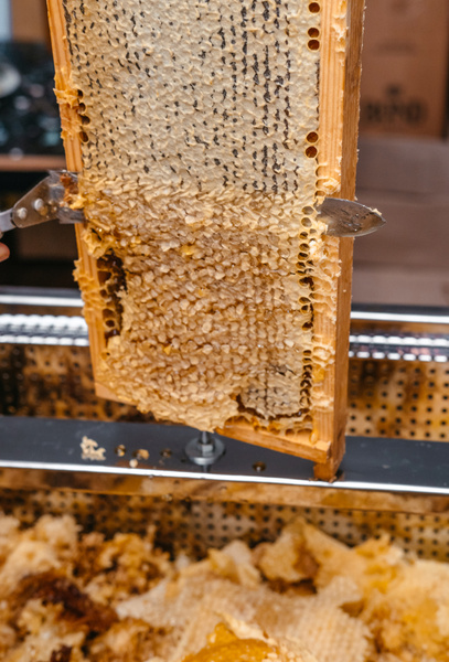 NÓŻ DO ODSKLEPIANIA MIODU opak=6szt *3844