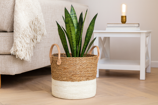 COȘ PLECAT 28 x 26 x 25/32 CM DIN IARBĂ DE MARE *9333