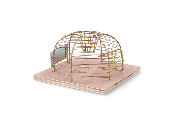 Pasca na myši – živolapka 14 x 14 x 5,5 CM balenie=24ks *3606