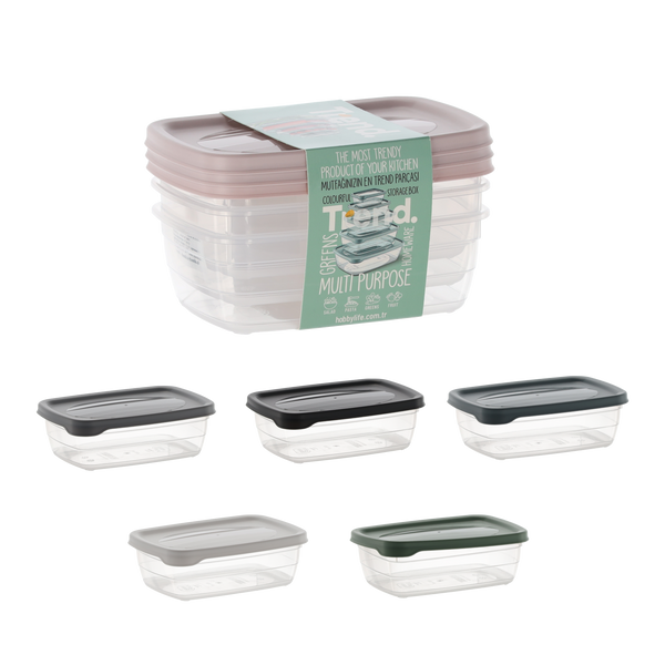 SADA 3 OBDELNÍKOVÝCH KONTENÉRŮ TREND BOX 0,6L *8861