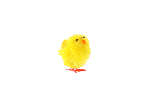 KPL. 8 VEJCE A HNÍZDA - MIX BARVY KURČAT *9366