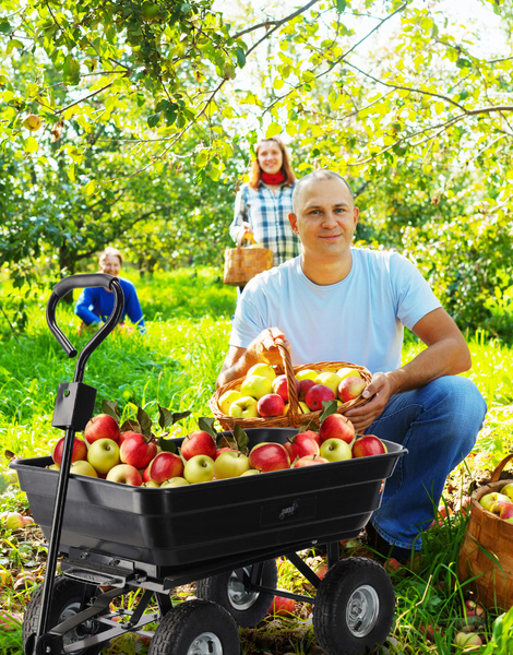 WÓZEK OGRODOWY DWUFUNKCYJNY CZARNY*0078