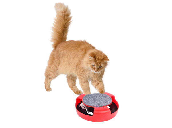 CAT TOY WITH MOUSE 25 X 25 X 7 CM