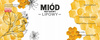 KPL. 100 ETYKIET MIÓD NEKTAROWY LIPOWY 154 x 60 MM *8207