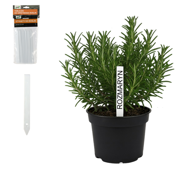 KPL. 20 ETICHETE PENTRU PLANTE 13 x 1,6 CM pachet=24buc *8181