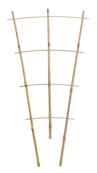 TROJNÁSOBNÁ BAMBUSOVÁ LEZLINA 60 CM balenie=25ks *3113