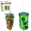 Hanging tomato/strawberry pot - 10 holes