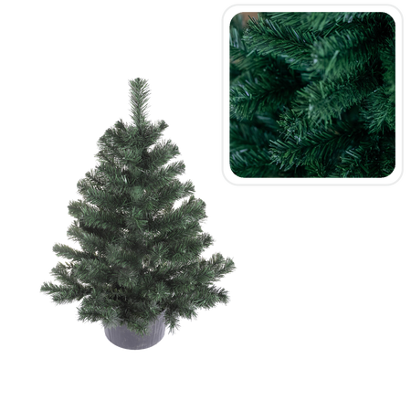 MONTANA SPRUCE IN POT 0.8 M CHRISTMAS TREE