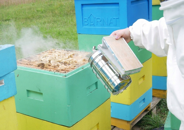 BEEKEEPER VACUUM CLEANER GALVANIZED 27 CM