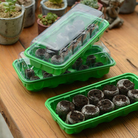 SEED STARTING KIT (MINI GREENHOUSE + 10 PEAT DISCS) packet=4sets *8556