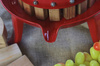 FRUIT PRESS 18L 46X46X74CM