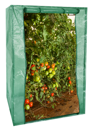 Garden greenhouse 100 X 50 X H150cm