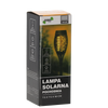 LAMPA SOLARNA POCHODNIA 7,5 X 7,5 X 50 CM *6846