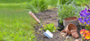 SET OF 20 SEEDLING POTS DIAMETER 6 CM