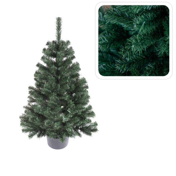 MONTANA SPRUCE IN POT 1.1 M CHRISTMAS TREE