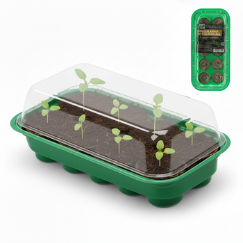 SET PENTRU GERMINARE (MINI SERĂ + 10 DISCURI DIN TURBĂ)