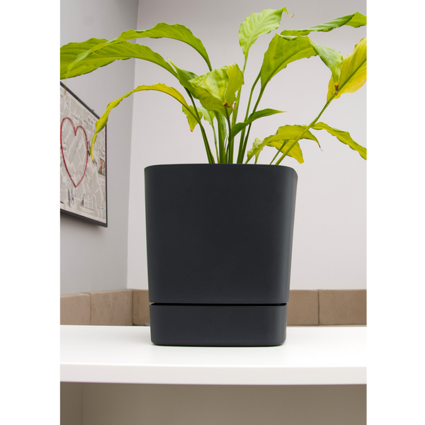 KYTICA S PODSTAVCOM CLIMA 160X160MM RECYKLOVANÁ ČIERNA*41404