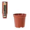 SET OF 20 PP POTS 7.2 x 6.8 CM