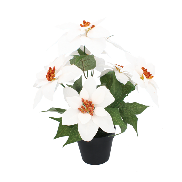 FLOARE ARTIFICIALĂ - STEAUA BETLEHEMULUI 35 CM ÎN GHIVECUL NEGRU ALB *3803