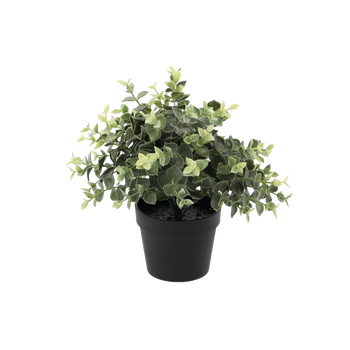 UMĚLÁ ROSTLINA - EUKALYPTUS V KVĚTINÁČI 22 CM balení=4 ks *3337