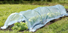 MINI GARDEN GREENHOUSE DIMENSIONS FOIL 1.8 x 10 M