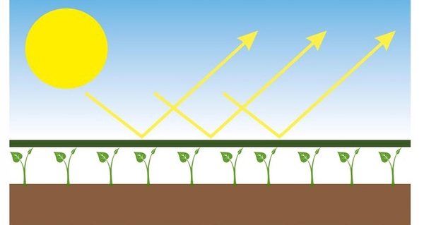 ZASTÍNACÍ SÍTĚ NA OPLOCENÍ ANTRACIT 1,5 x 25 M 135g/m2 90% *0883
