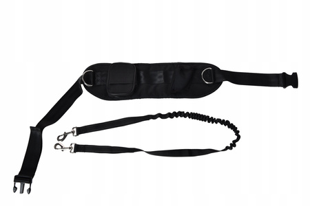 DOG ACCESSORIES