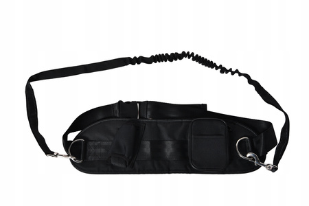 DOG ACCESSORIES