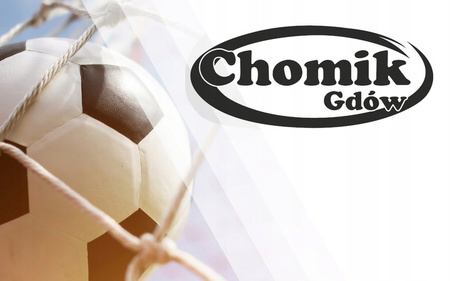 FUTBALOVÁ BRÁNA "CHAMPIONS" S MREŽOU A CIEĽOVOU PODLOŽKOU - 213 x 152 x 75 CM *3401