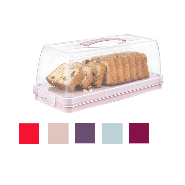 RECIPIENT RECTANGULAR PENTRU TORT 13x23,5x17CM *5364