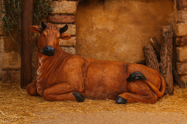 VACA - FIGURĂ PENTRU STABLE 71x50,8x113