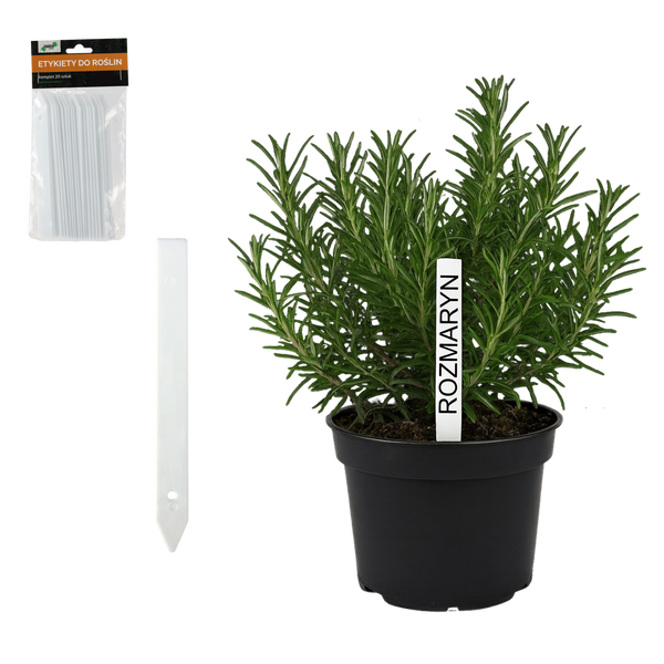 KPL. 20 ETYKIET DO ROŚLIN 13 x 1,6 CM opak=24kpl *8181