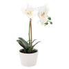 FLORĂ ARTIFICIALĂ - ORCHIDEE MIX 3 CULORI 30 CM pachet=12 buc palet=36 buc *4825