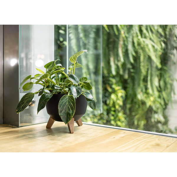 MISA ROMA 290 MM – CZARNY*48809